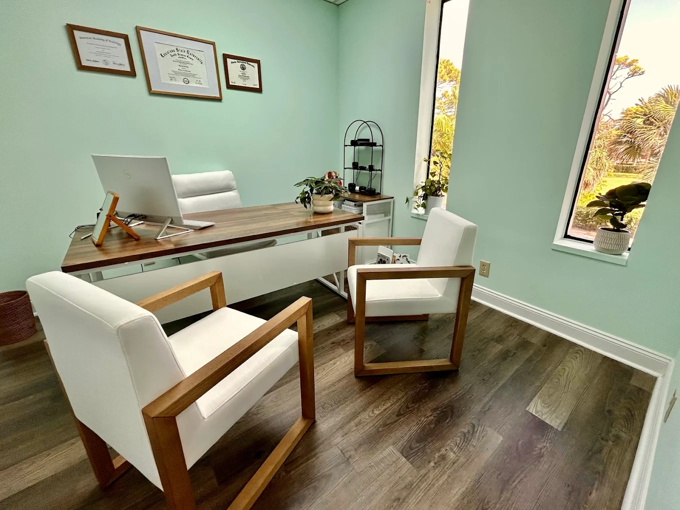 Dr. Zelenko's consult room — sea-foam walls, light oak, and afternoon sun